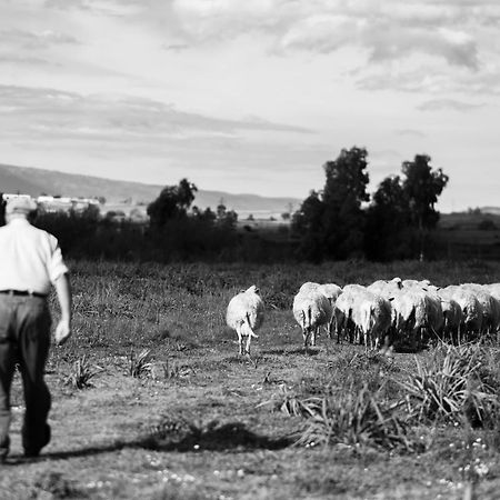 Binzas Betzas Agriturismo Sedilo Exteriér fotografie