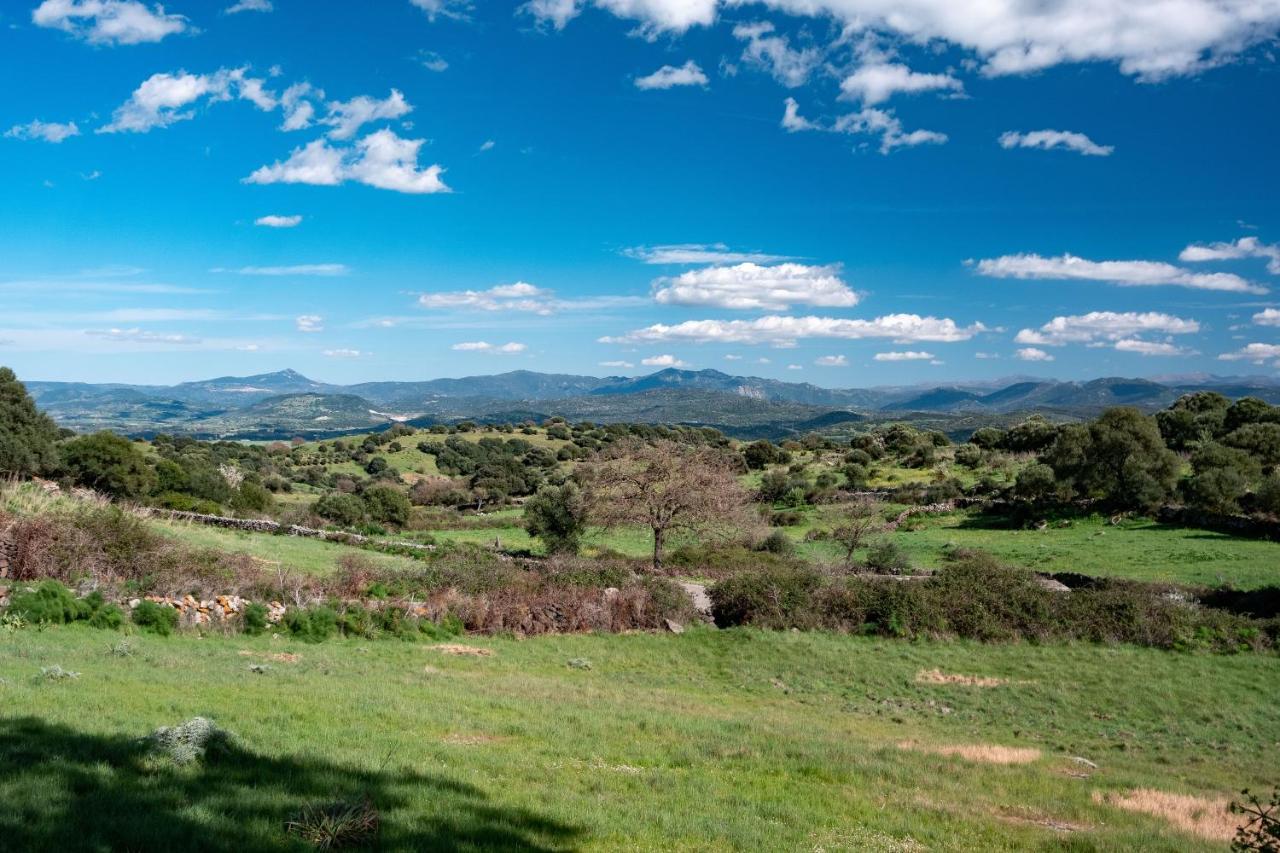 Binzas Betzas Agriturismo Sedilo Exteriér fotografie