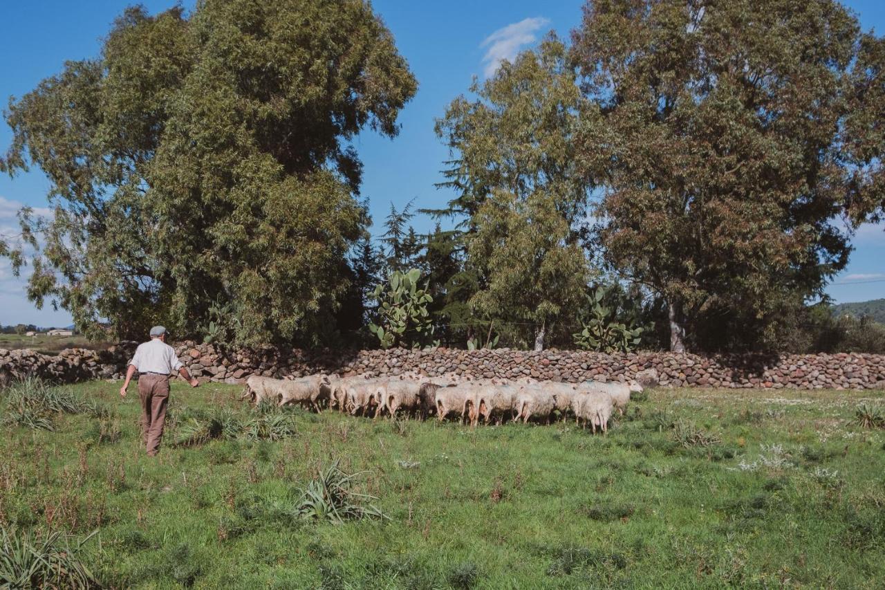Binzas Betzas Agriturismo Sedilo Exteriér fotografie