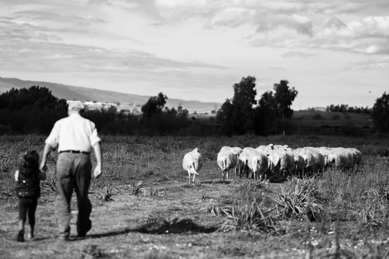 Binzas Betzas Agriturismo Sedilo Exteriér fotografie