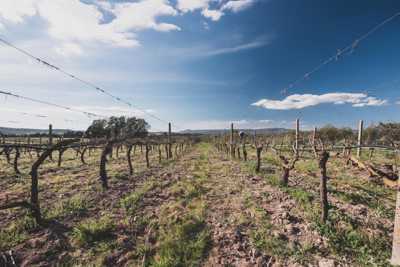 Binzas Betzas Agriturismo Sedilo Exteriér fotografie